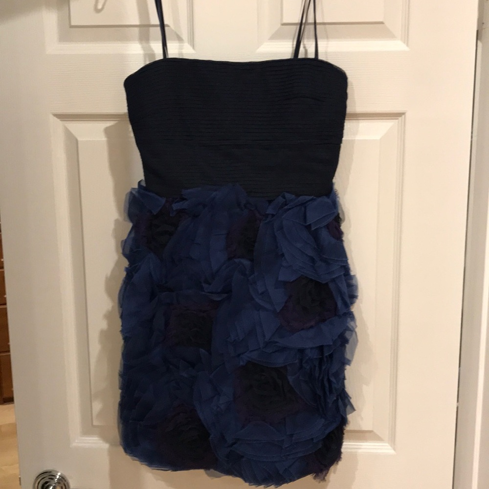 NWT Women’s dress by BCBG MAXAZRIA
